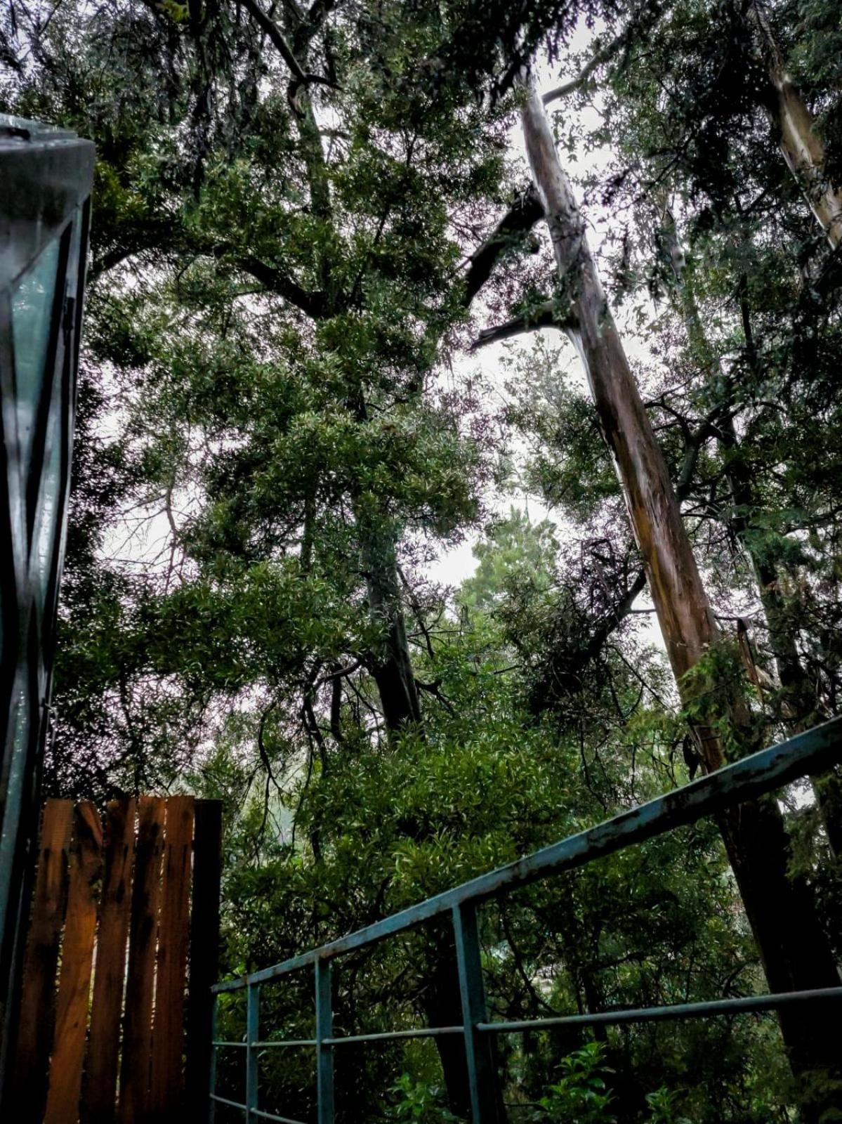 فندق Woodhouse أوتي المظهر الخارجي الصورة